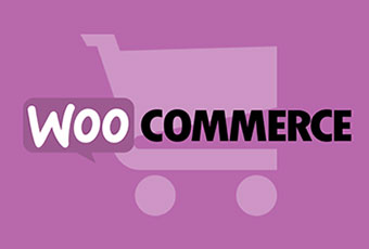 WOOCOMMERCE READY